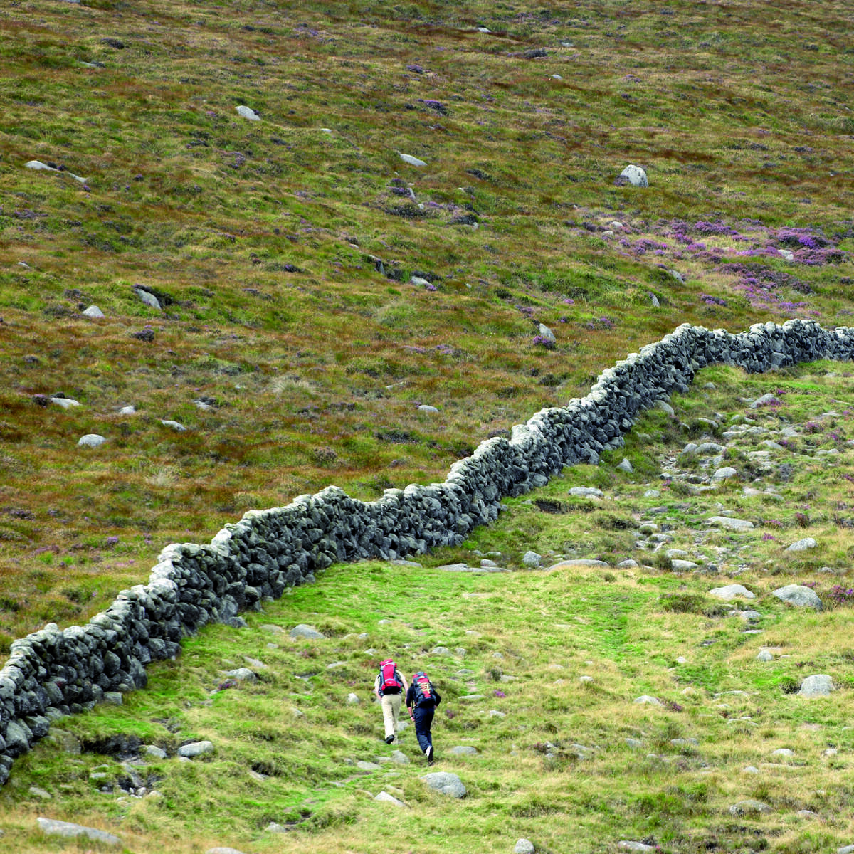 Hit the wall - guided walking Mourne Wall Challenge